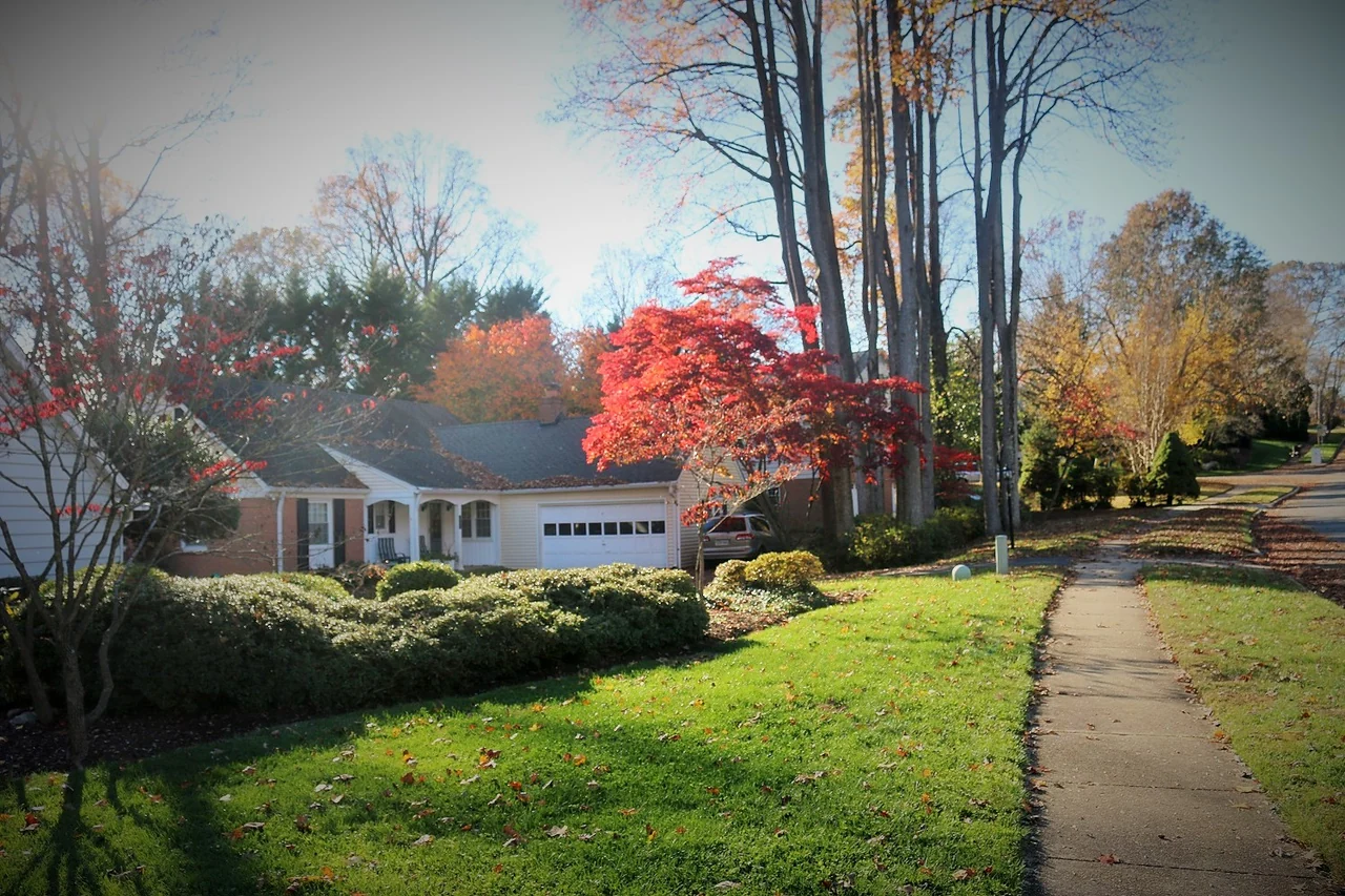 An autumn neighborhood street in Annandale.