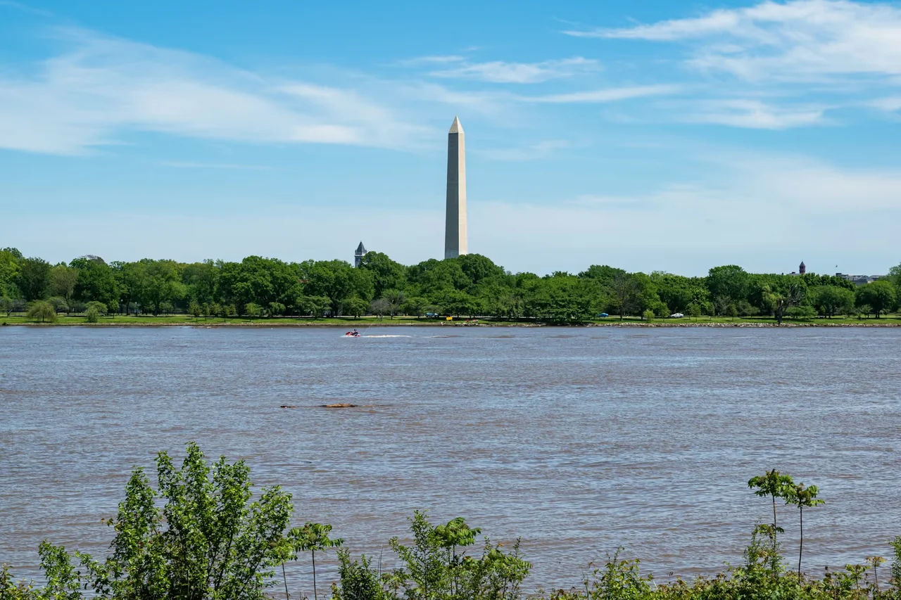 The Washington Monument beyond the Tidal Basin on a clear day.